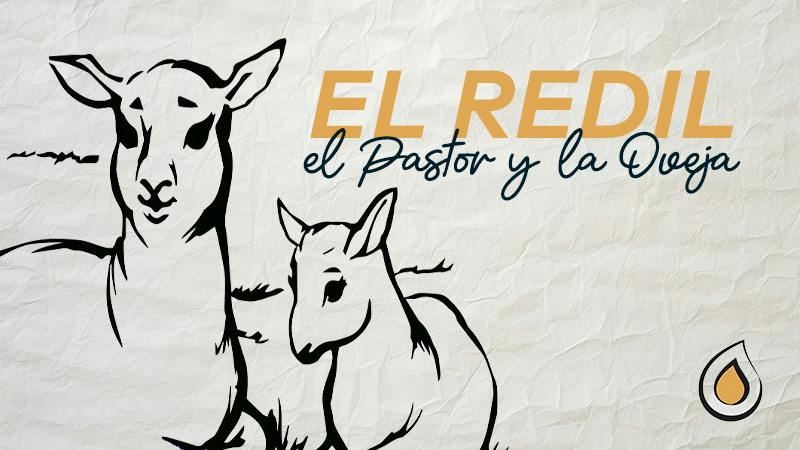 Enlace+